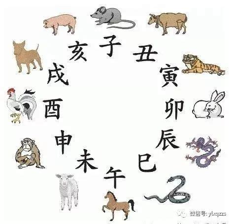 古人以十二地支記時，亦可與十二生肖配合，例如：子為鼠、丑為牛、寅為虎……。請依此判斷「丁酉」年出生的小孩應該屬什麼生肖？|地支:簡介,乾支關係,藏乾,歌訣,各種類象,地理類象,人物類象,臟腑。